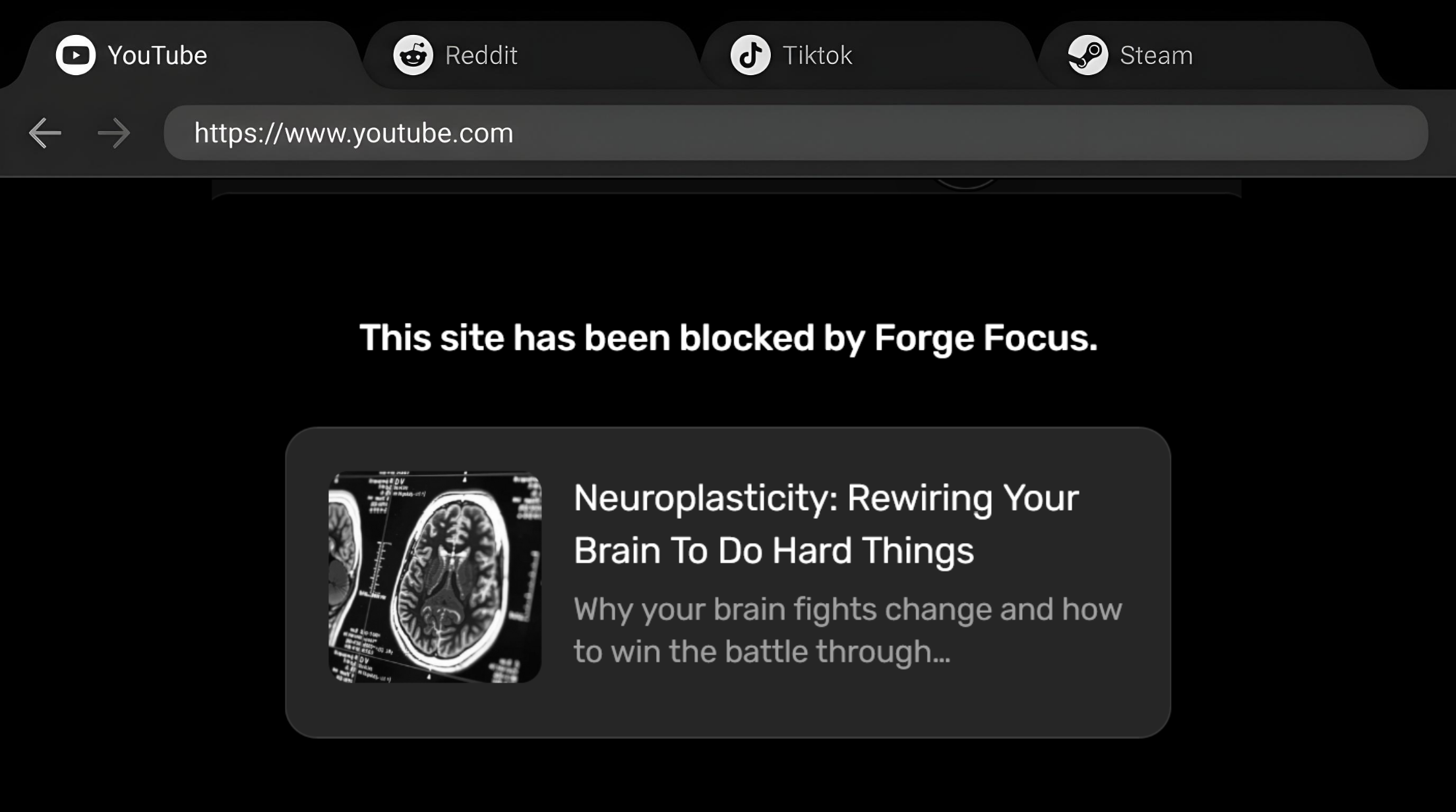 Browser showing blocked YouTube with neuroplasticity article suggestion